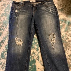 Torrid Boyfriend Distressed 18